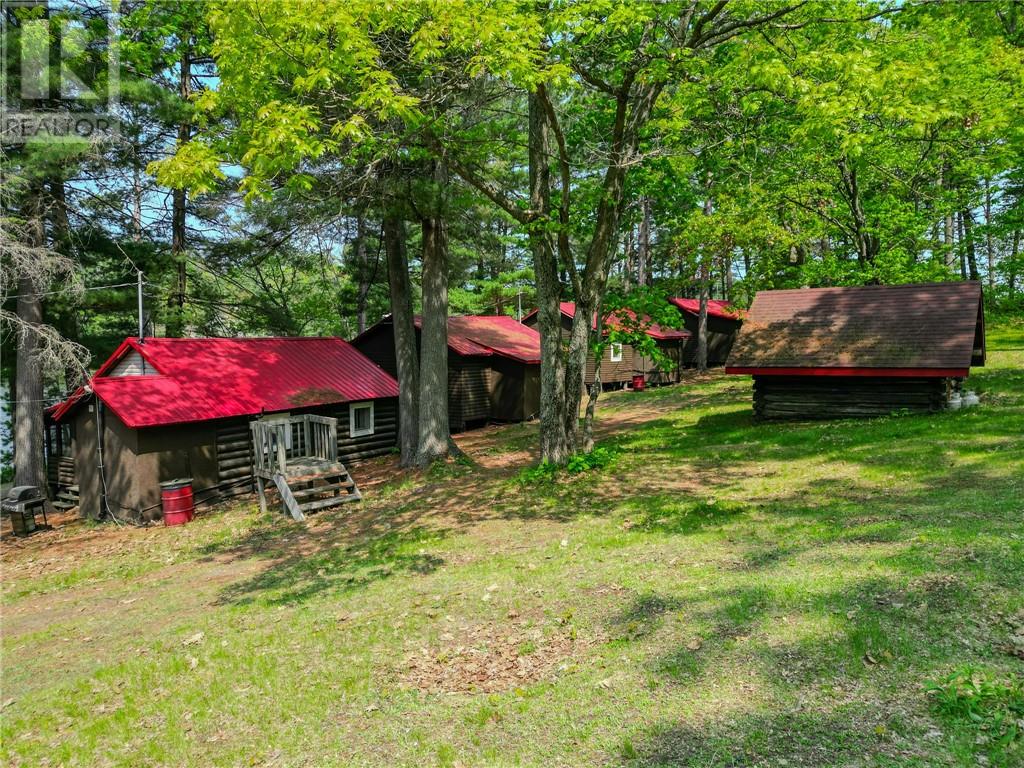 Guest cabin grounds among mature trees